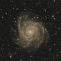 IC 342 - Hidden Galaxy