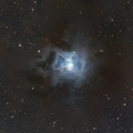 NGC 7023 - Irisnebel