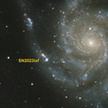 M 101 mit Supernova SN2023ixf Ausschnitt