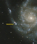 M 101 mit Supernova SN2023ixf Ausschnitt
