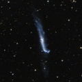 NGC 4656 - Hockeyschläger