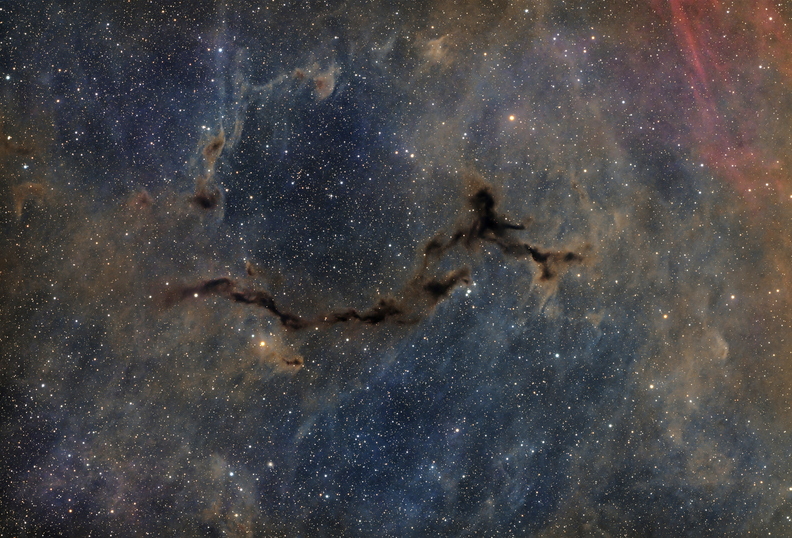 darkseahorse_web.jpg
