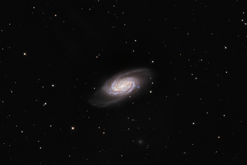 NGC2903_web.jpg